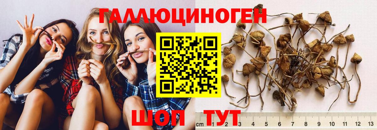 Галлюциногенные грибы ЛСД  Вход с VPN  Туапсе 